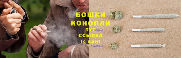 гашик Михайловск