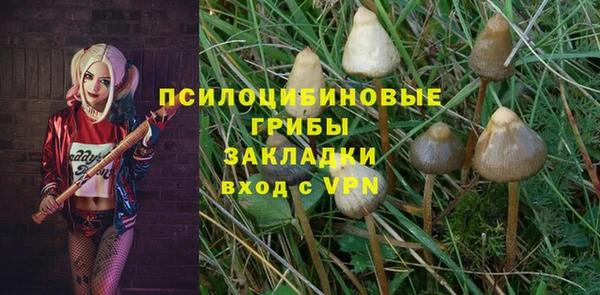 PSILOCYBIN Бронницы