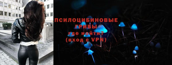гашик Михайловск