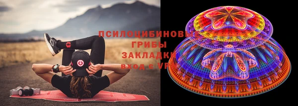 гашик Михайловск