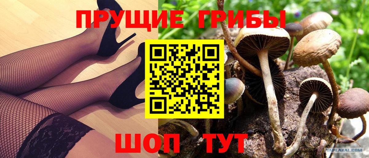 Новочебоксарск  Псилоцибиновые грибы мицелий  Галлюциногенные грибы GOLDEN TEACHER  Вход с VPN 